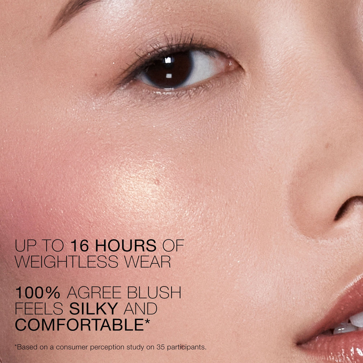 Blush & Refill Set